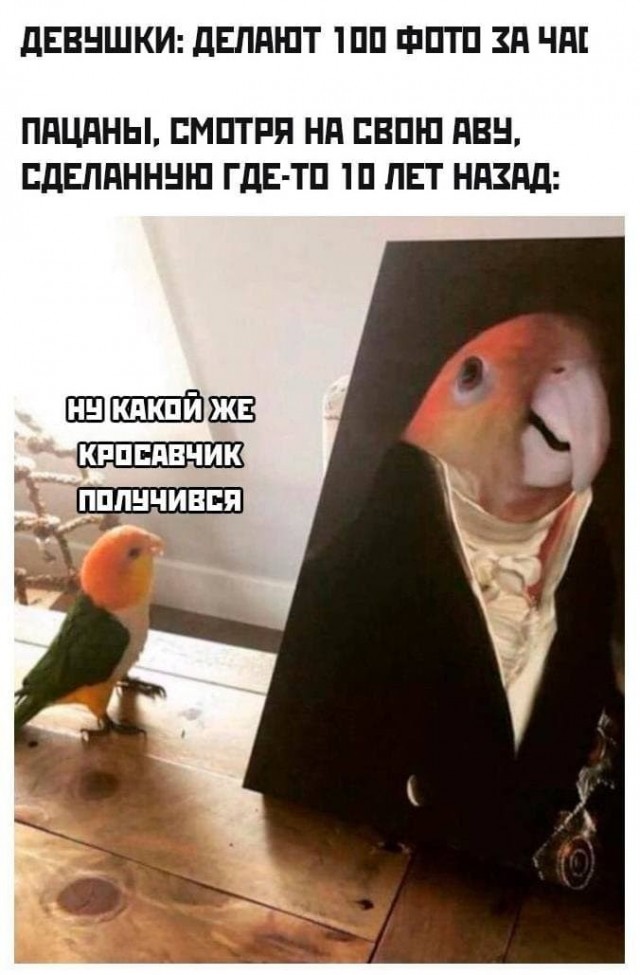 Картинки и мемы обо всём 27.09.2021