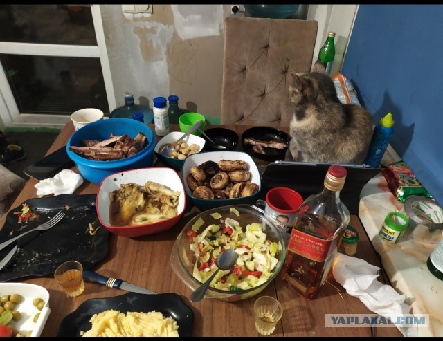 Ну, ЯП, бухнём!