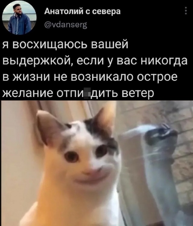Картинки и мемы, всем хороших выходных