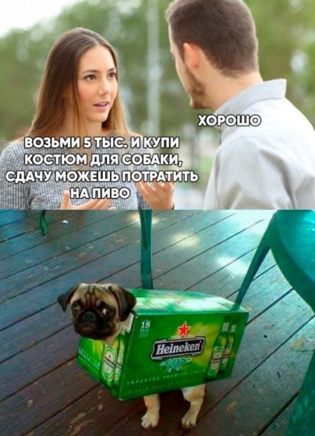 Картинки и мемы для настроения - 14