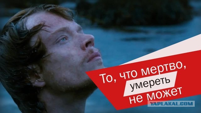 В Госдуме предложили в разы снизить пошлину для физлиц на ввоз авто из-за рубежа