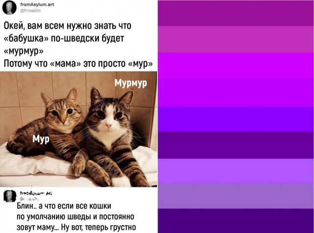 Так себе картинки 01.06.22