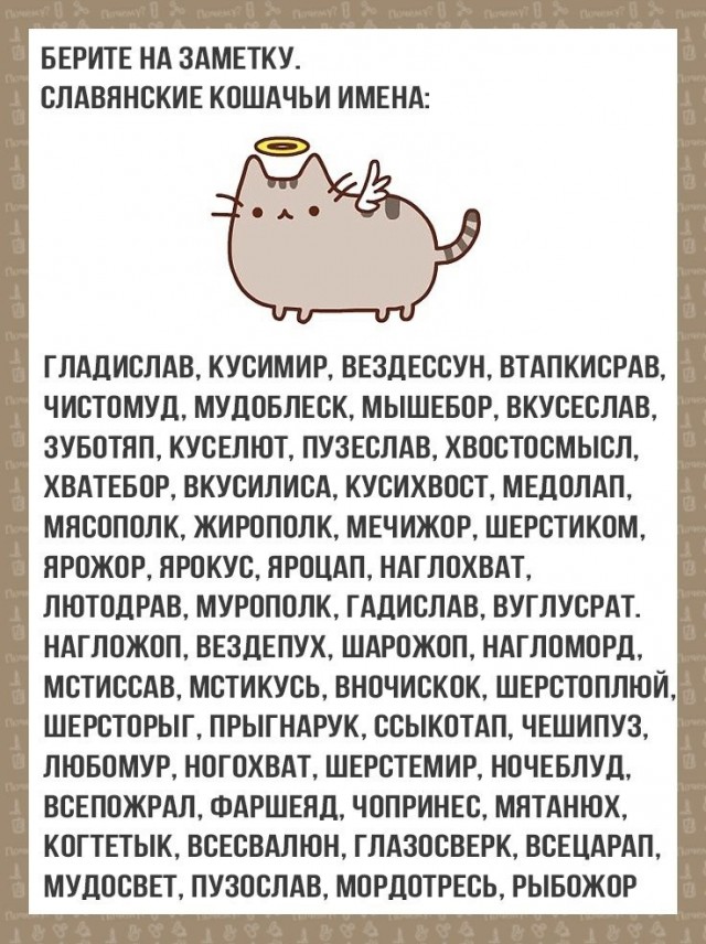 Тройное счастье привалило