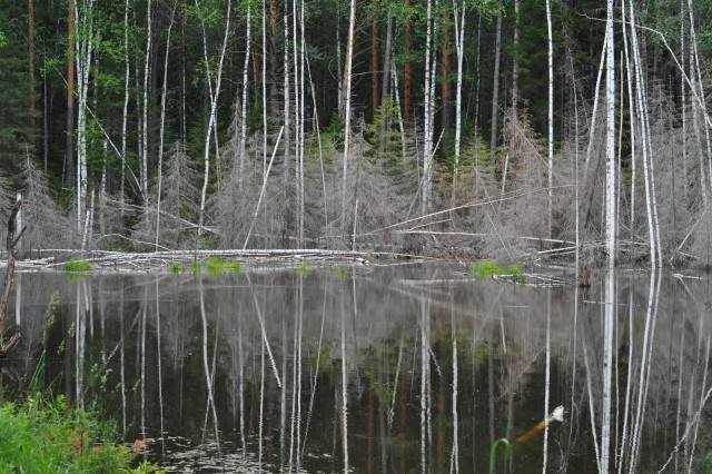 Поездка в Екатеринбург