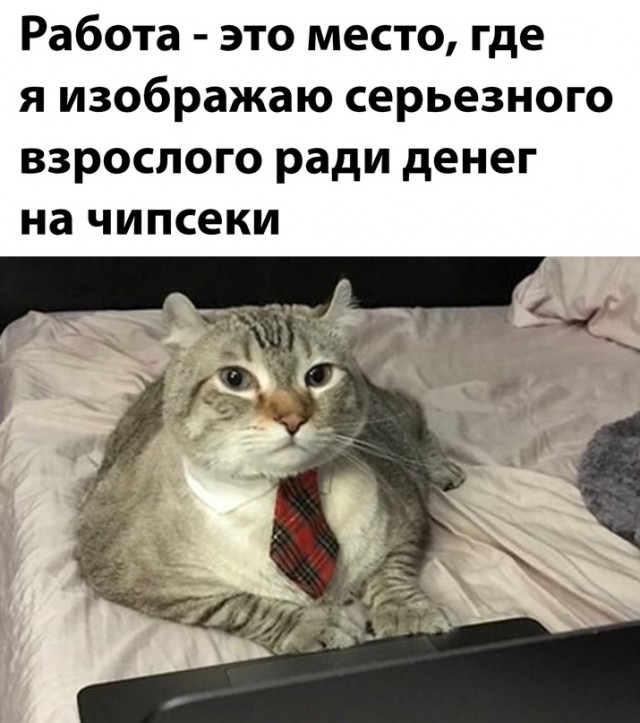 Картинки и мемы для настроения - 31