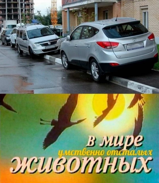 Картинки и мемы для настроения - 009