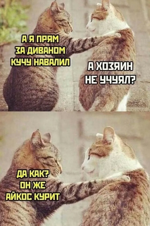 60 картинок