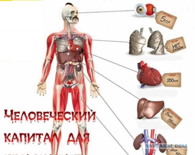 Отпустите человека.... запомните его живым