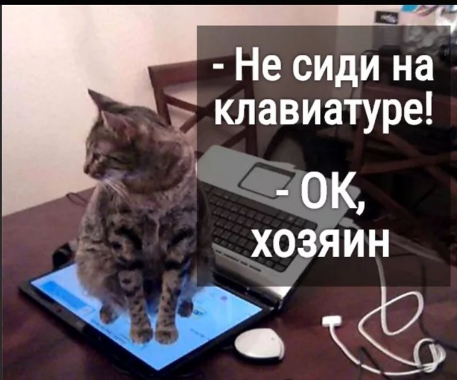 Победная поступь идиотизма по планете – том 12