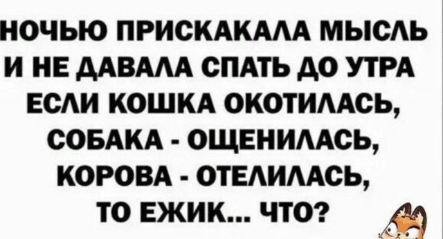 Немного картинок для настроения - 177