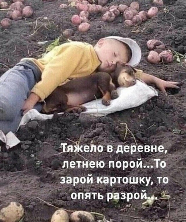 Так себе картинки 21.08.23