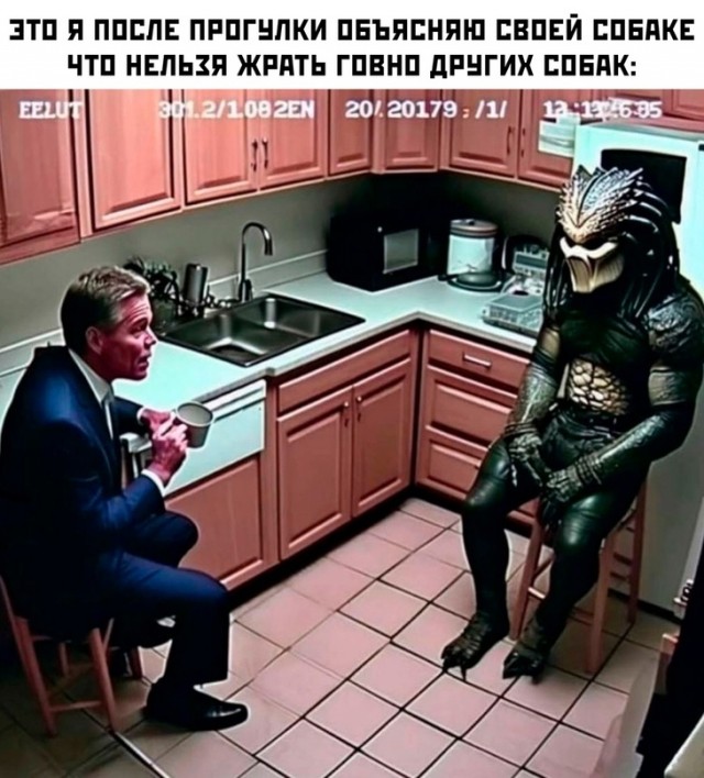 Весёлый полтишок 12.11.23