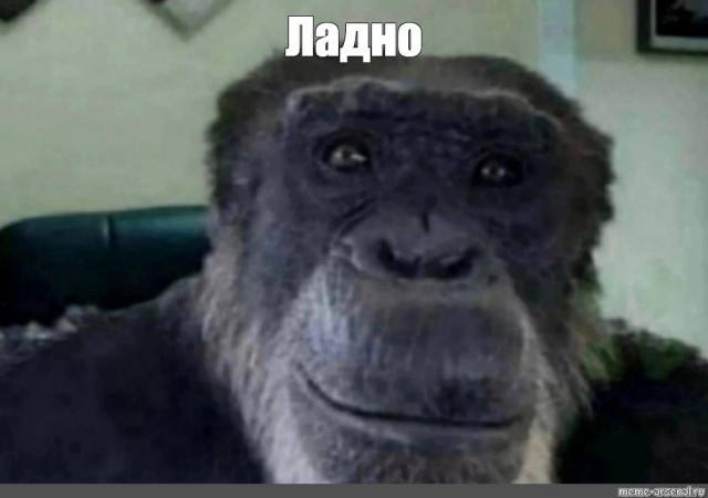 Можно ли сменить ник?