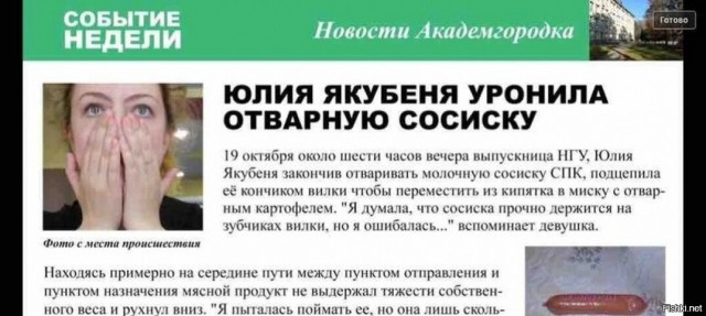 Под Выборгом случились разборки котов и лисицы