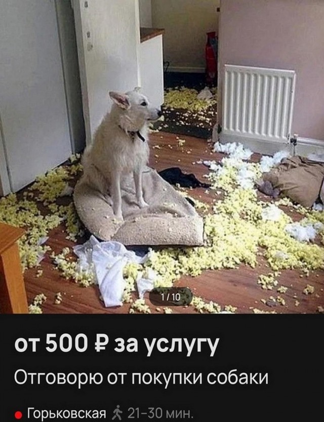 Всего понемногу. От 18.12.23