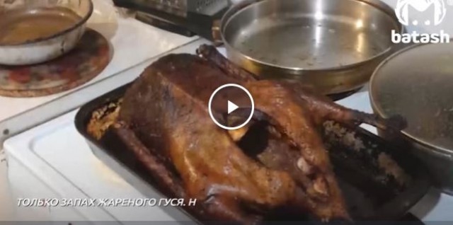 Гусь огонь