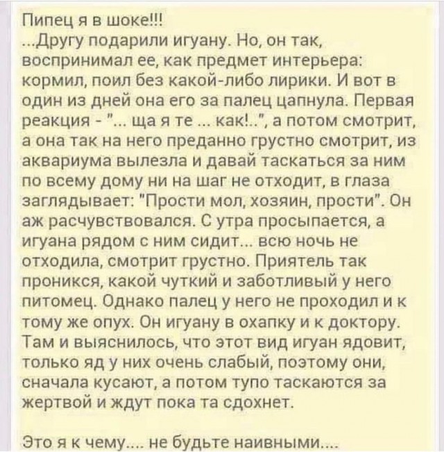 Весенний маразм наступает!