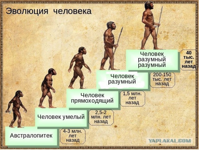 Эволюция