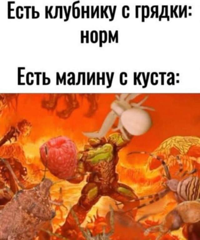 Завалялось тут случайно немного забавных картинок