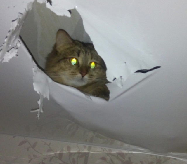 Подскажите кто разбирается