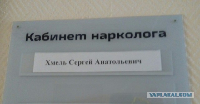 Водовозов плохого не посоветует