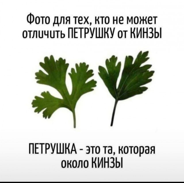 Так всякие картинки 26 04