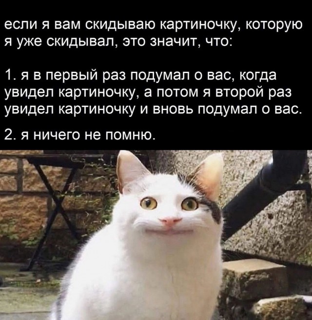 Так себе картинки 24.05.25