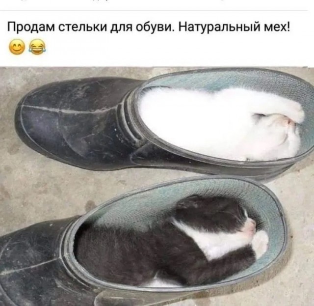 Юмор в картинках и без