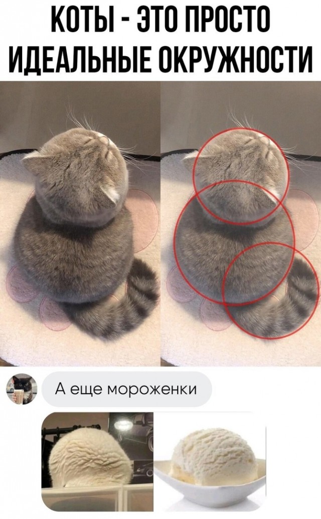 ТРРРидцать тРРРи от 19 июня