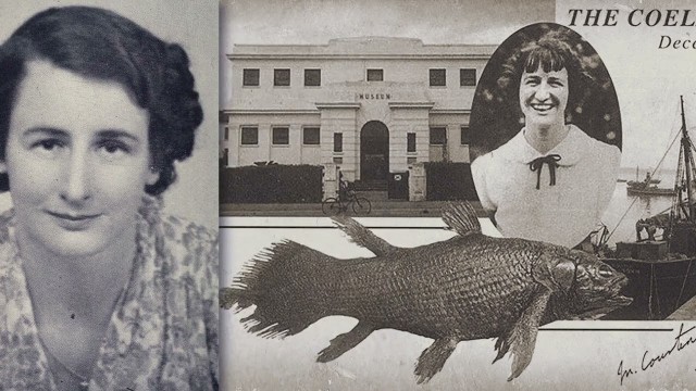 Учёные впервые сфотографировали живое ископаемое — древнюю рыбу латимерия