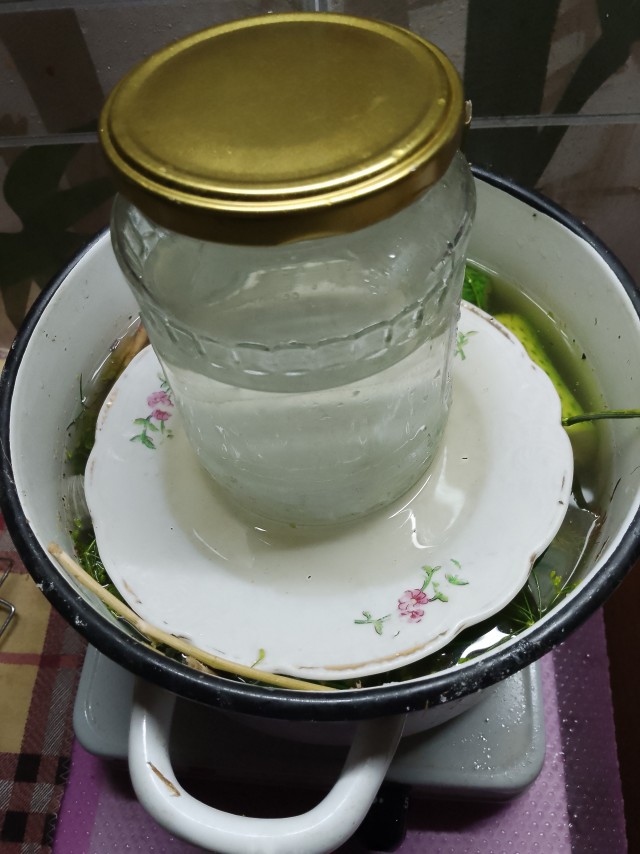 Достались мне тут огурчики..