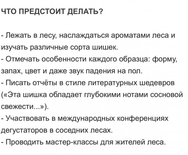 Дегустатора шишек на зарплату ₽300 тыс. в месяц ищет сетка сибирских магазинов