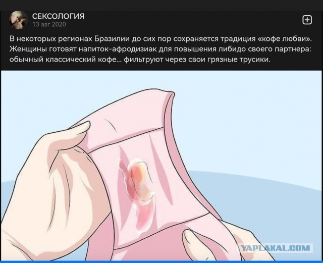 В глазок увидел как в подъезде усатый сосед нюхал седушку велосипеда у жены, когда мы возвратились с прокатки