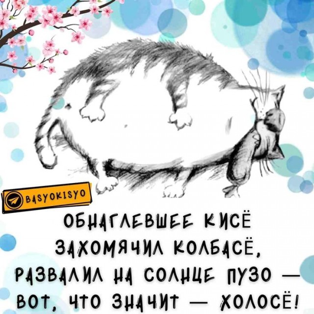 Прикольные и просто красивые картинки 18.11.2025