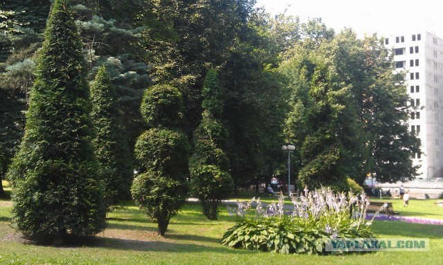 Поездка в Беларусь