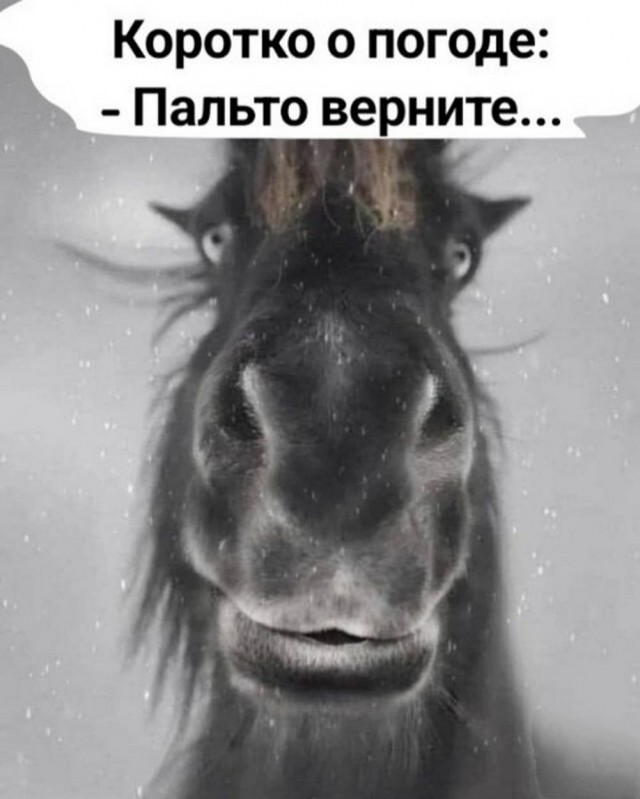 Маленькая пятница 21.01