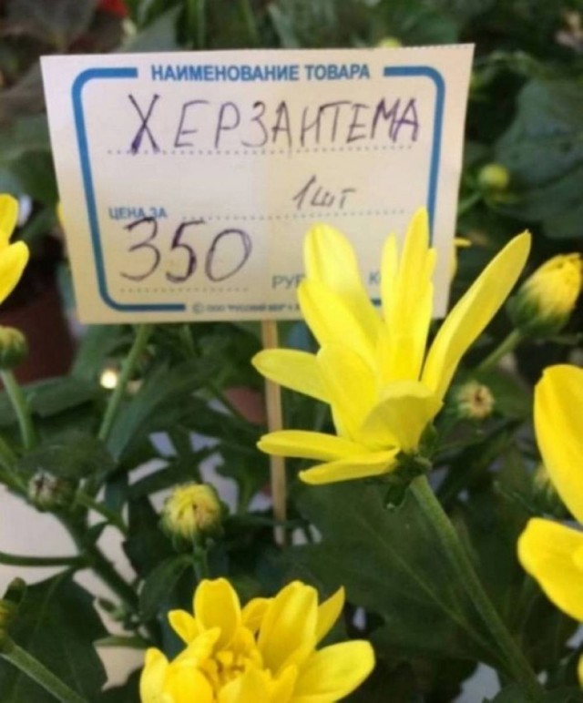 Картинки для деградации 147 (разной степени свежести)