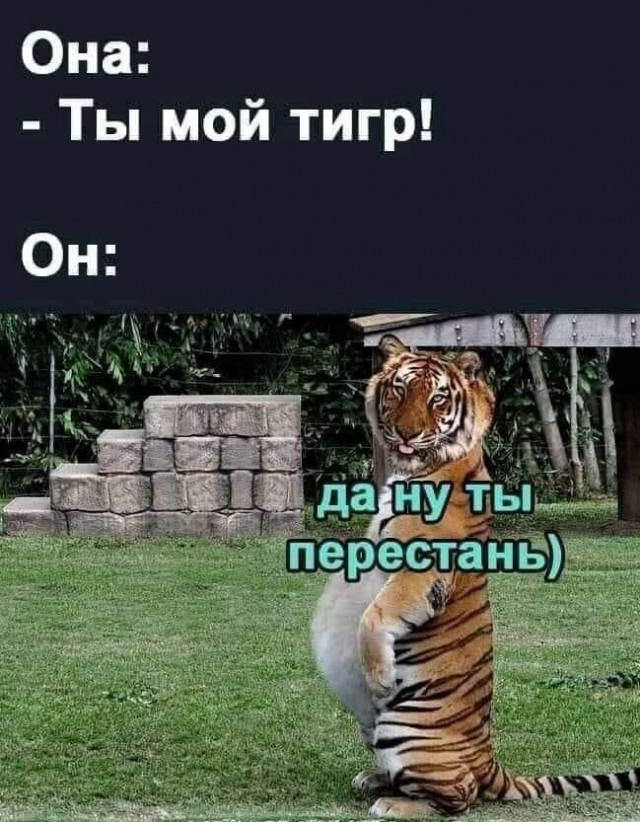 Ну, всё, пацаны… Выдыхайте!