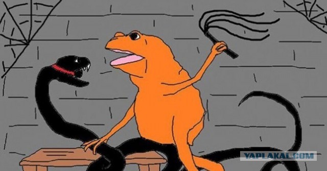 Виктория Боня готовит коллективный иск против Соловьёва, Милонова и Лебедева