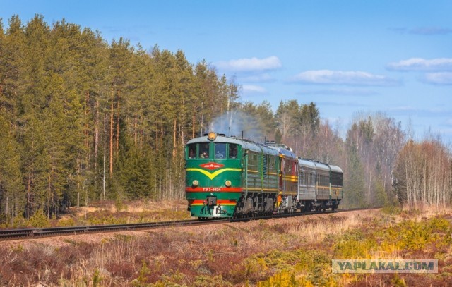Электровозик из Ромашково