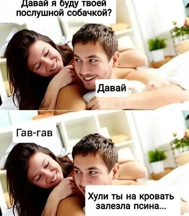 Картинки для деградации 247 (разной степени свежести)