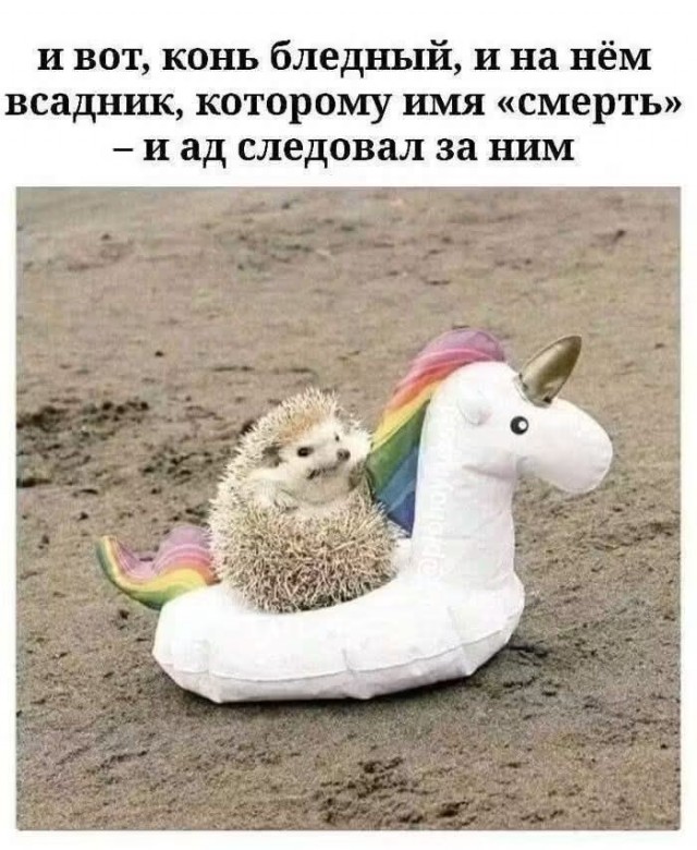 Субботние аккордеоны