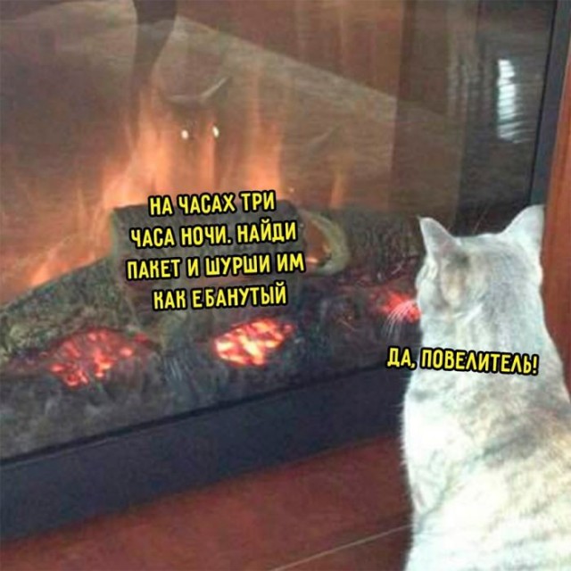Пятничные бояны