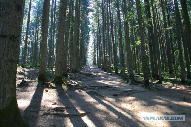 Западная Украина. Край где живут облака.