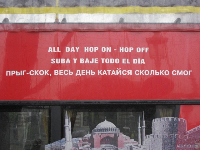 Что мы видим вокруг себя