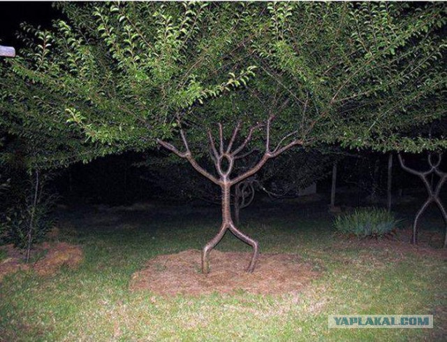 Весёлые картинки. Разбавим будни