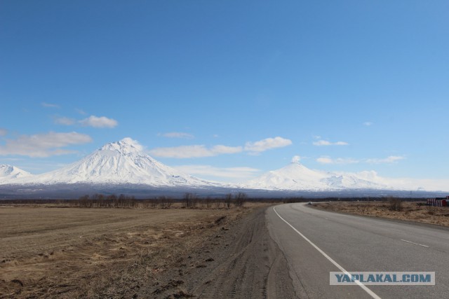 Путина 2005, Камчатка