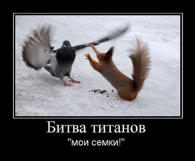 Картинки и демотиваторы