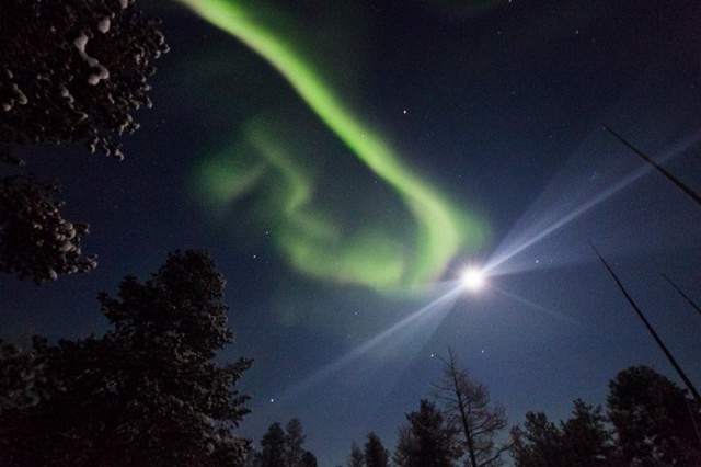 Субботняя подборочка картинок