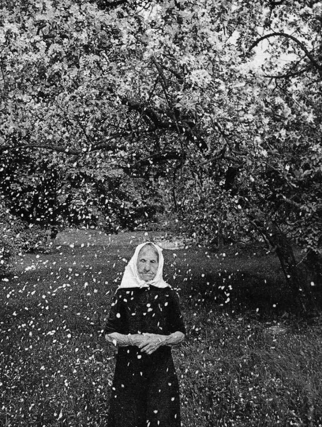 Интересные фотографии из прошлого